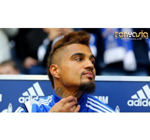 Kevin-Prince Boateng Berencana Kembali Ke AC milan | Judi Sabung Ayam | Sabung Ayam